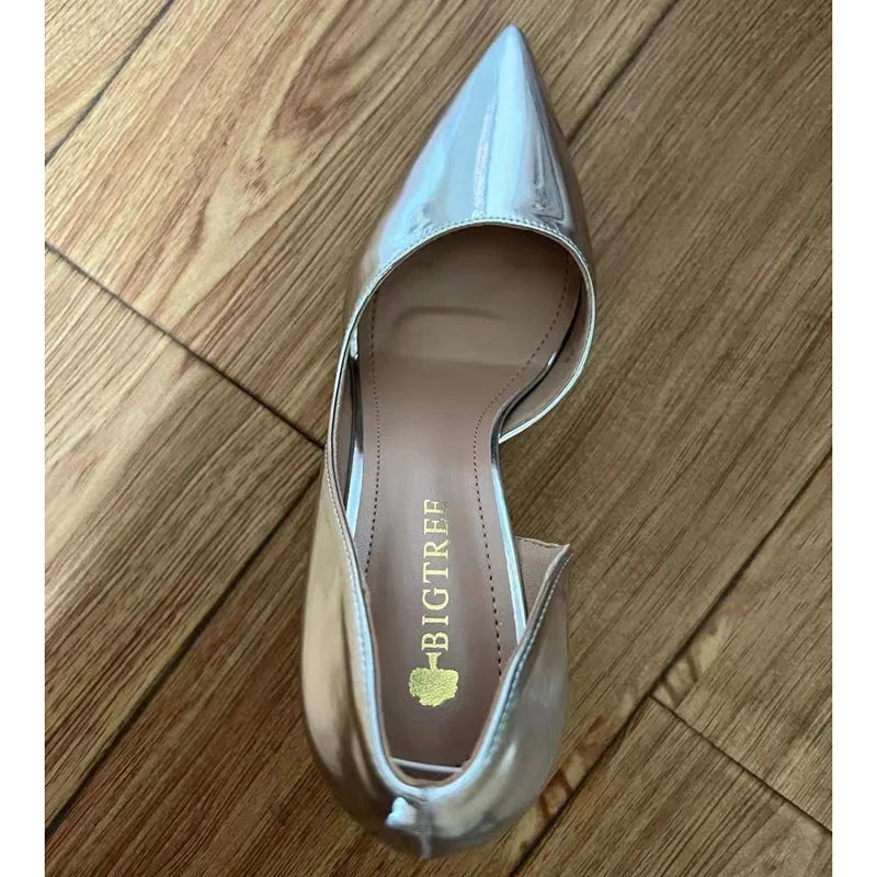 Women's High Heel Pointed Toe Pumps Slip On Fashion Stilettos