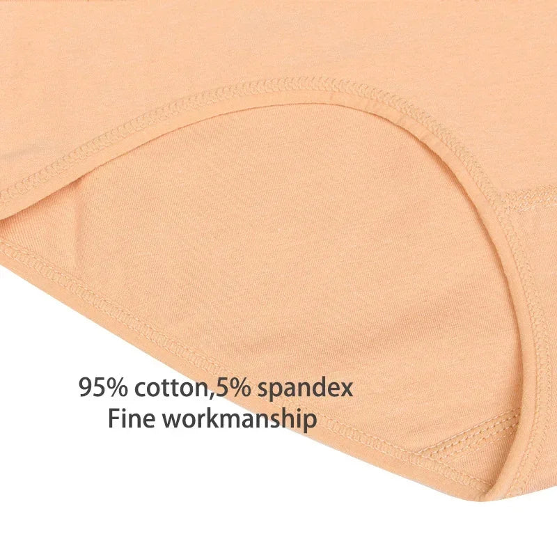 Women's High-Waist Tummy Control Briefs 4-Pack | Plus Size L–5XL | OWNLUXE
