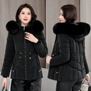 Women's Cotton Hooded Jacket (Light Green) | OWNLUXE
