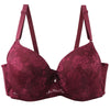 Women's Floral Plus-Size Bra | OWNLUXE