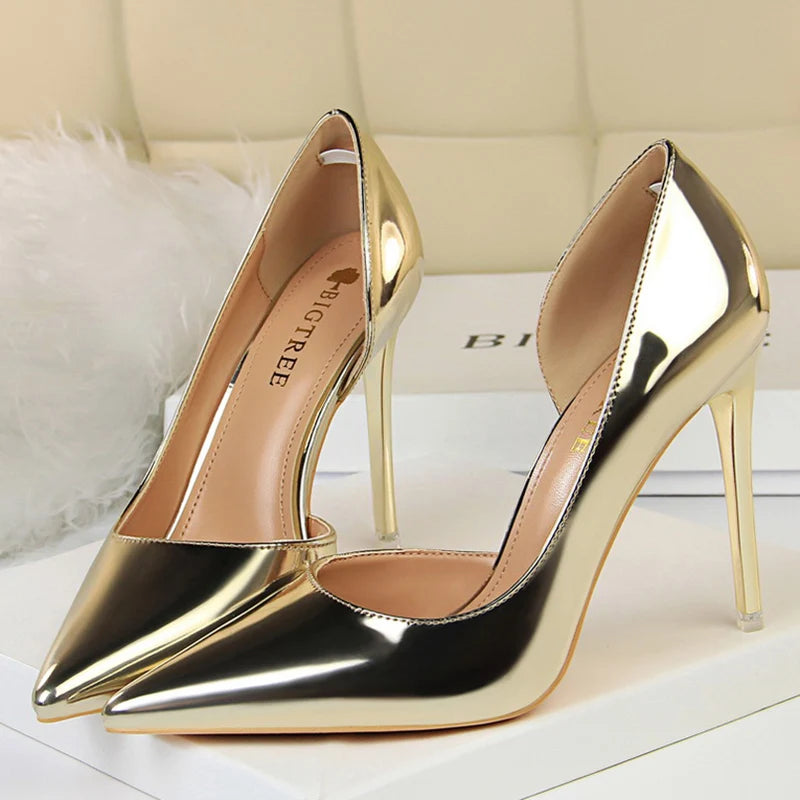Women's High Heel Pointed Toe Pumps Slip On Fashion Stilettos